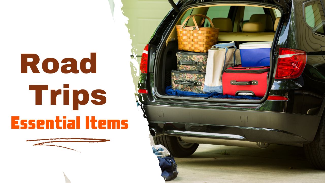 what to bring on a road trip with family